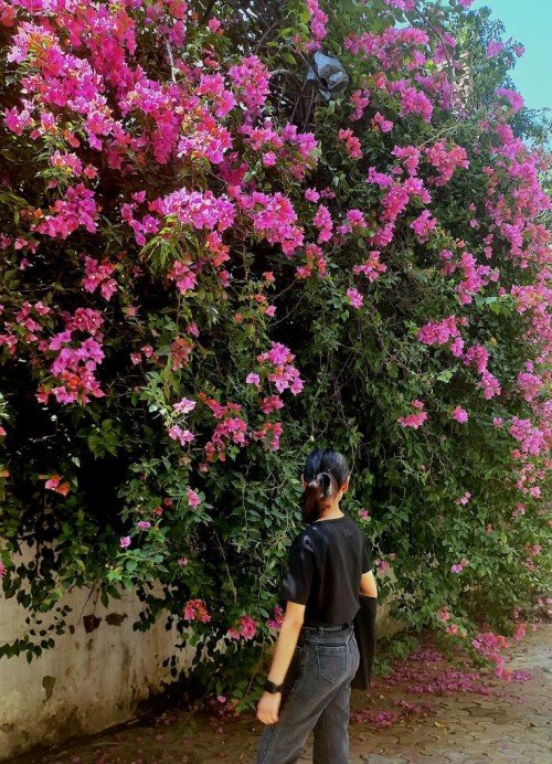 Best All Academic Subjects tutor in Varanasi