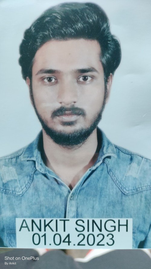 Best Physics,Chemistry,Biology tutor in Varanasi