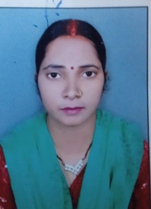 Best All Academic Subjects,Maths,Biology tutor in Varanasi